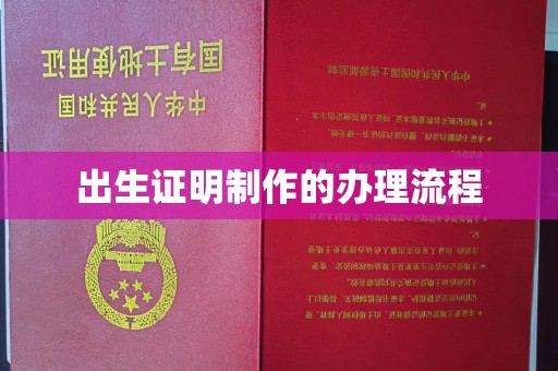 山阴出生证明制作的办理流程